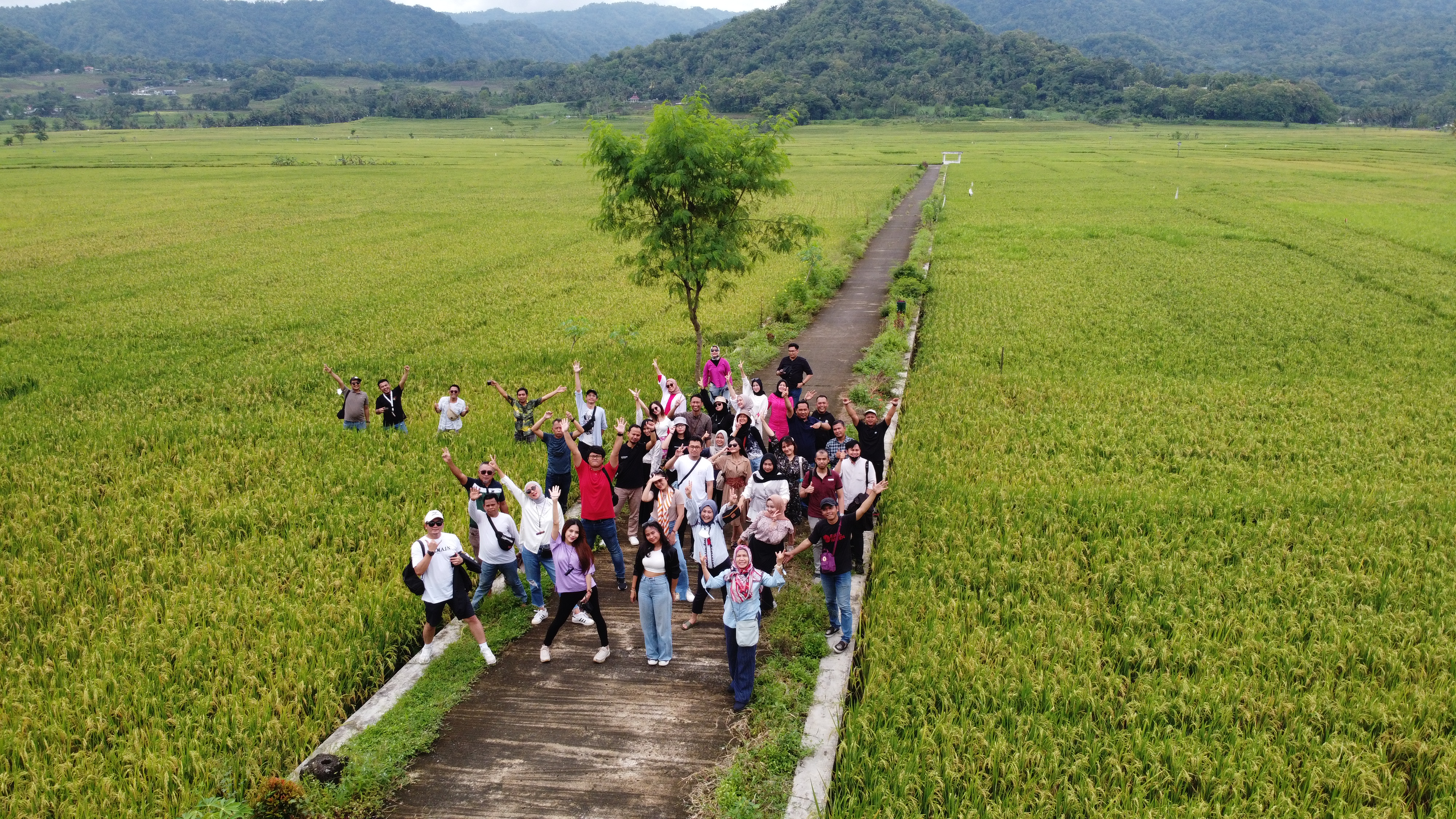 Dokumentasi Palawa Group